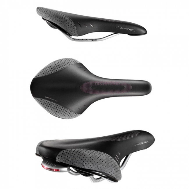 fizik rondine