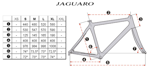 cotes felino jaguaro