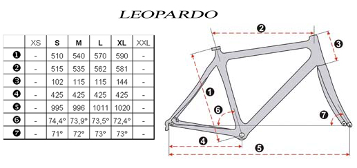 cotes cadre Felino Leopardo